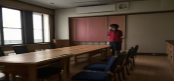欧盟委员会会议室内部，代表DSA数字服务法对成年内容平台的监管审查，蓝色星旗背景